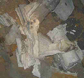 Asbestos Abatement